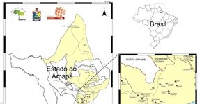 Artista abre espaço de troca cultural com a comunidade na Amazônia