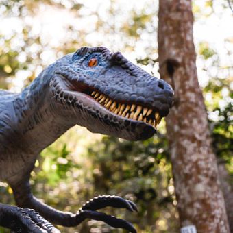 Featured mobile: Terra dos Dinos amplia funcionamento em julho; veja horários