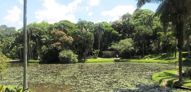 Cinco razões para você conhecer o Jardim Botânico de São Paulo