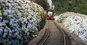 10 passeios de trem pelo Brasil