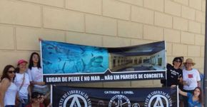 AquaRio é inaugurado sob protestos de ativistas no Rio de Janeiro