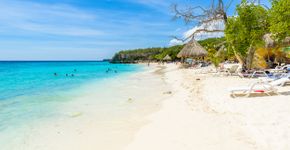 Foto: (Simon Dannhauer/iStock)