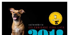 Calendário dá destaque para cachorros vira-lata e reverte verba para castração