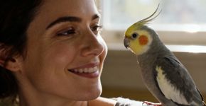 Imprinting nas aves pode mudar tudo na sua rotina com elas