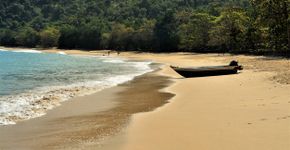 Foto: (NancyAyumi/iStock)