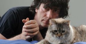 10 gatos que são os melhores amigos dos escritores