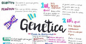 Site disponibiliza mapas mentais grátis para facilitar os estudos