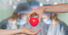 Foto: (vchal/istock)