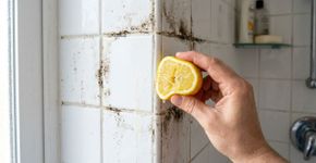 Derramar limão espremido nos cantos do banheiro: para que serve e quando deve ser feito