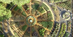 Jardim no interior de SP reúne 300 tipos de ervas medicinais