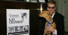 Cão que sobreviveu à câmara de gás comemora 12 anos
