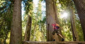 Foto: (stockstudioX/iStock)