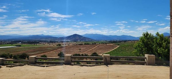 Vista dos vinhedos a partir da Casa Mirador