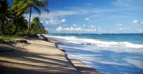 Conheça as praias mais bonitas do Brasil
