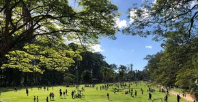 Foto: (Reprodução do Instagram Oficial @parquedocarmosp)
