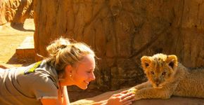 Viajando o mundo como voluntário