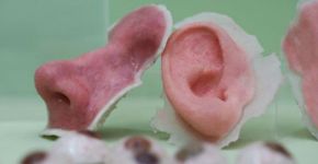 L’Oreal usa pele humana 3D para evitar testes em animais
