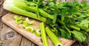 5 benefícios do aipo para a saúde e como inserir na dieta