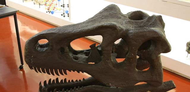 Museu de Geociências da USP