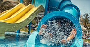 Foto: (Imgorthand/iStock)