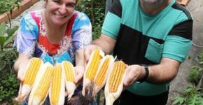 Há 3 anos, pai e filha se alimentam apenas com o que plantam e a saúde vai muito bem