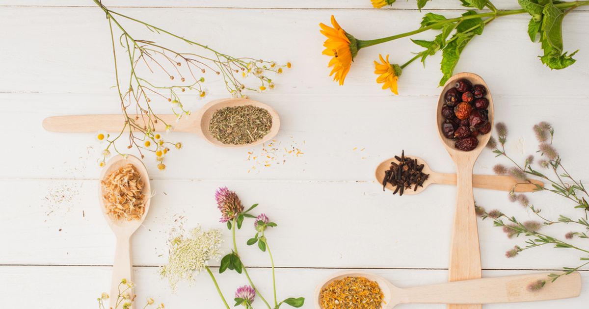 5 plantas medicinais para cultivar em casa