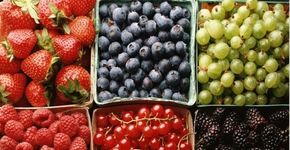 6 alimentos que atuam positivamente sob seu cérebro