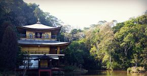 Roteiro zen: conheça os templos Kinkaku-ji e Enko-Ji na Grande SP