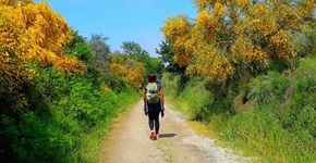 Quer viajar sozinha? Siga essas dicas!