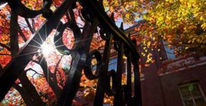 Harvard procura alunos de São Paulo