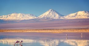 Foto: (Delpixart/iStock)