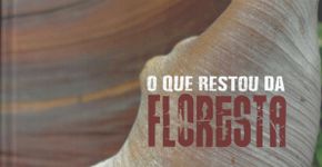 Foto: (Foto: Divulgação.)
