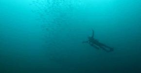 Saiba como é um mergulho de batismo na Ilha Grande; veja o vídeo