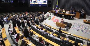 Foto: (Zeca Ribeiro / Câmara dos Deputados)