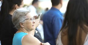Estudo aponta planta que pode revolucionar o tratamento do Alzheimer