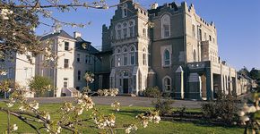 Foto: (Divulgação/University College Dublin)
