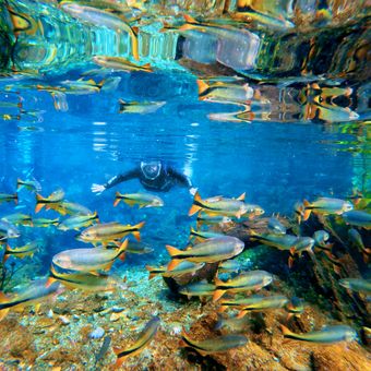 Featured mobile: Nascente Azul reúne flutuação, aventura e preservação em Bonito (MS)
