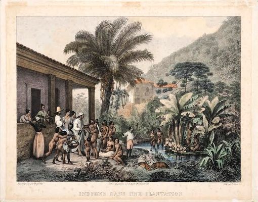 Rugendas Indiens dans une plantation - divulgação