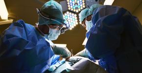 Homem foi ao médico com dor de cabeça e descobriu parasita raro no cérebro