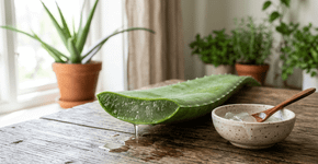 Como preparar um gel facial com aloe vera para revitalizar a pele e manter a aparência exuberante