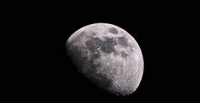 Foto: (Dr K Kar/istock)