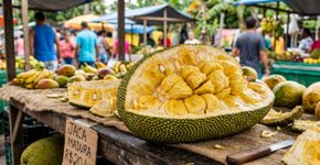 Qual é a fruta dos sete sabores e onde ela pode ser encontrada?