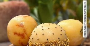 Queijo brasileiro feito com maracujá é eleito um dos melhores do mundo