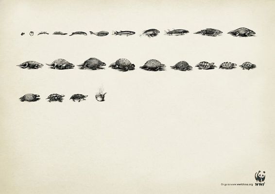 “Evolução” WWF, Ogilvy, China.