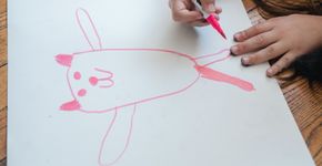 Foto: (Liliana Drew/Pexels)