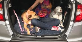 Foto: (Arquivo pessoal)