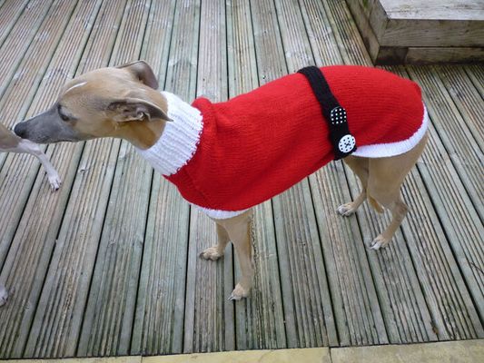 A britânica resolveu largar o emprego para tricotar roupas a cães abandonados (Reprodução/Jan Brown)