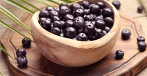 15 frutas e plantas do Norte e Nordeste que fortalecem a saúde
