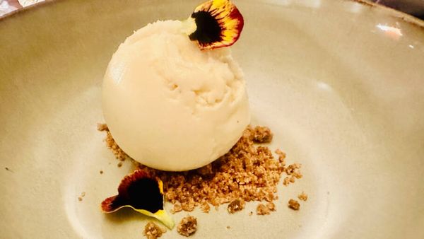 Escolhi o menu plant based do Tierra