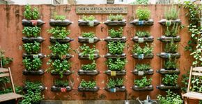 Como criar uma horta caseira de baixo custo com materiais reciclados, de forma fácil e econômica